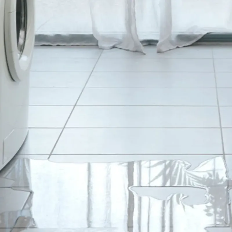 Appliance Leak Cleanup in Oskaloosa, IA