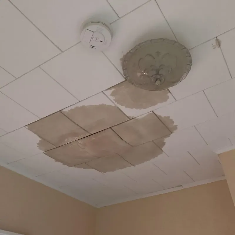 Ceiling Water Damage Repair in Oskaloosa, IA