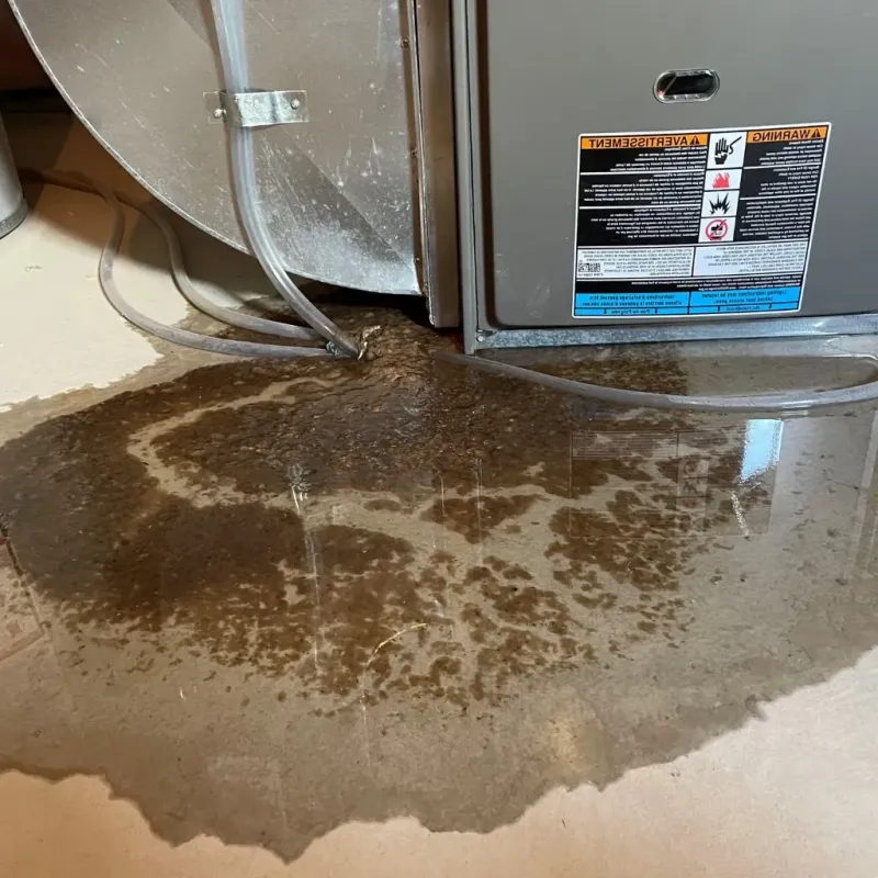Pipe Burst and Leak Restoration in Oskaloosa, IA