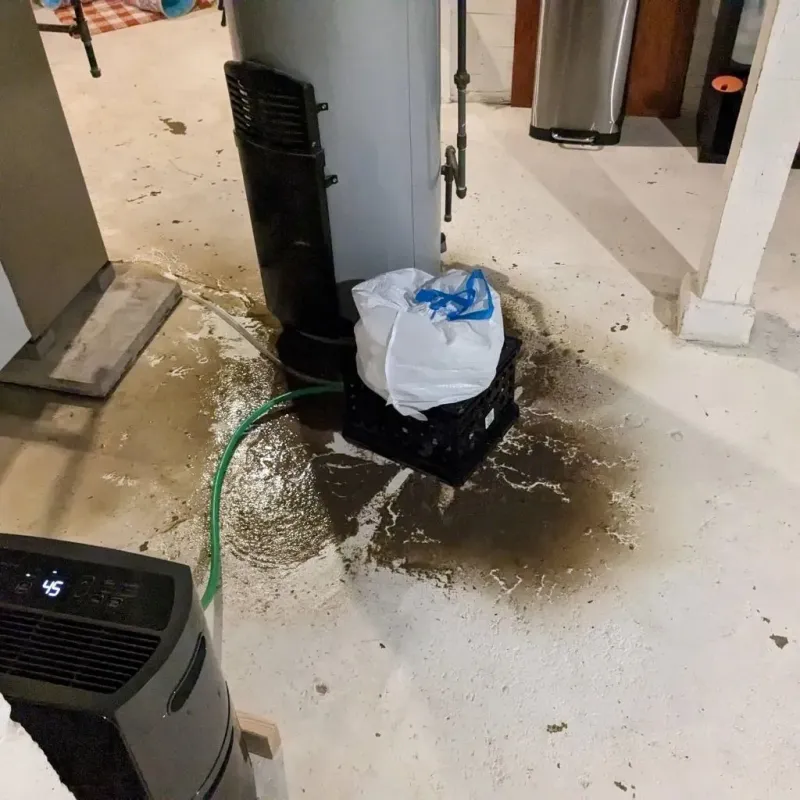 Sewage Backup Cleanup Service in Oskaloosa, IA